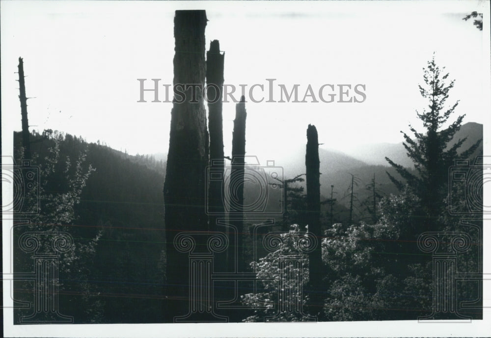 1991 Press Photo A nature trail over the mountains. - Historic Images