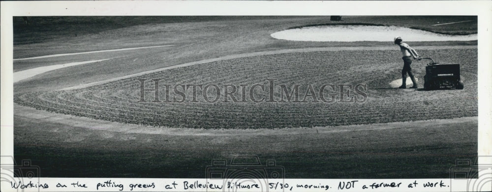1981 Press Photo worker putting green Belleview Biltmore Golf Course - Historic Images