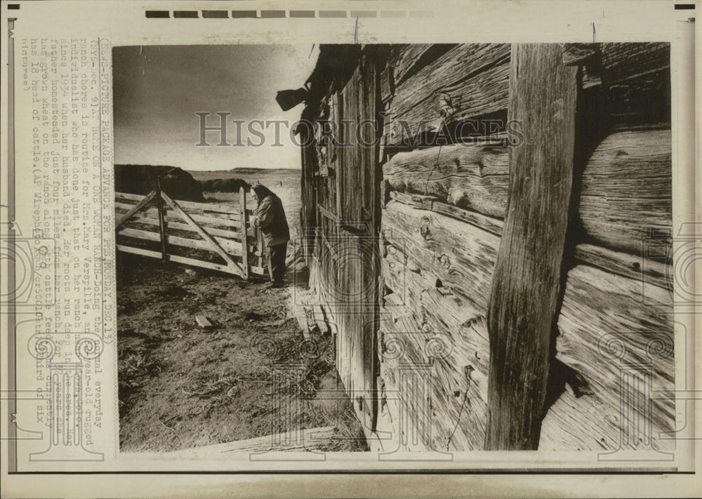 Press Photo Ranch Chores Mary Verspille herd cattle - Historic Images