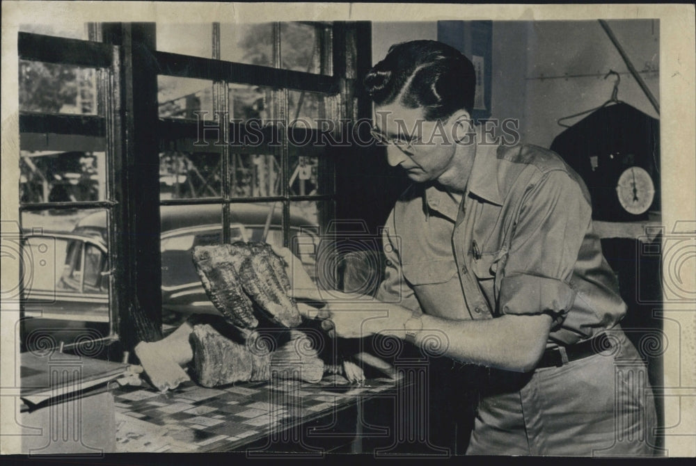 1948 Press Photo Howard Barnett inspects hugh tooth of a mastadon he found - Historic Images