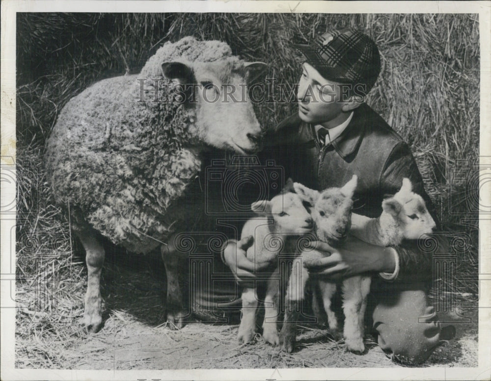 1948 Robert H. Halbach,15 holds 4 day old triplets born to this ewe. - Historic Images