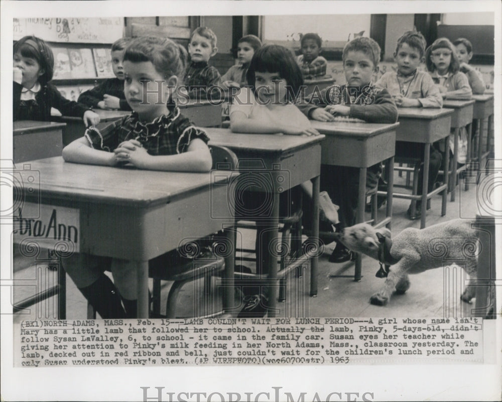 1963 Pinky the lamb and Sysan LaValley at school. - Historic Images