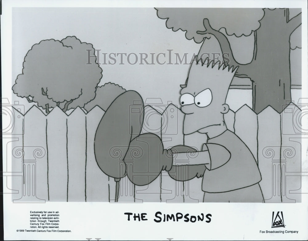 1994 Press Photo The Simpsons - Historic Images