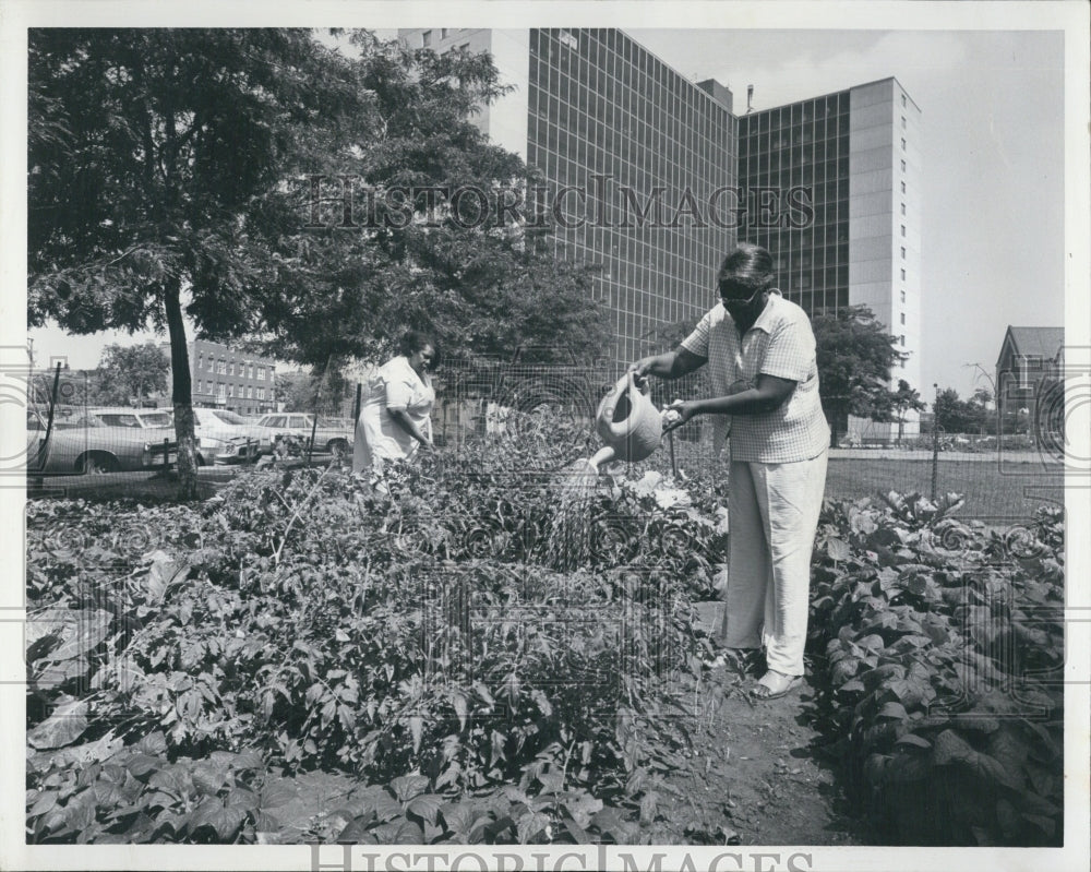 1978 Vegetable Garden Mrs. Margaret Ramsey Leonia Reedy - Historic Images