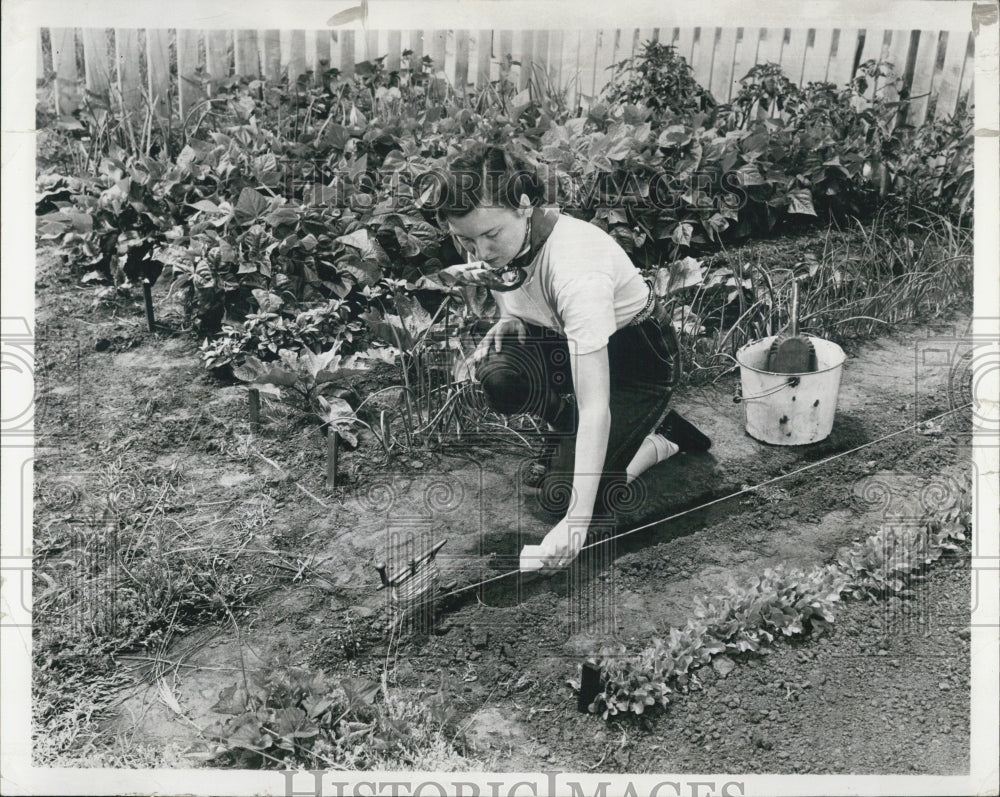 1955 Tilling a garden. - Historic Images