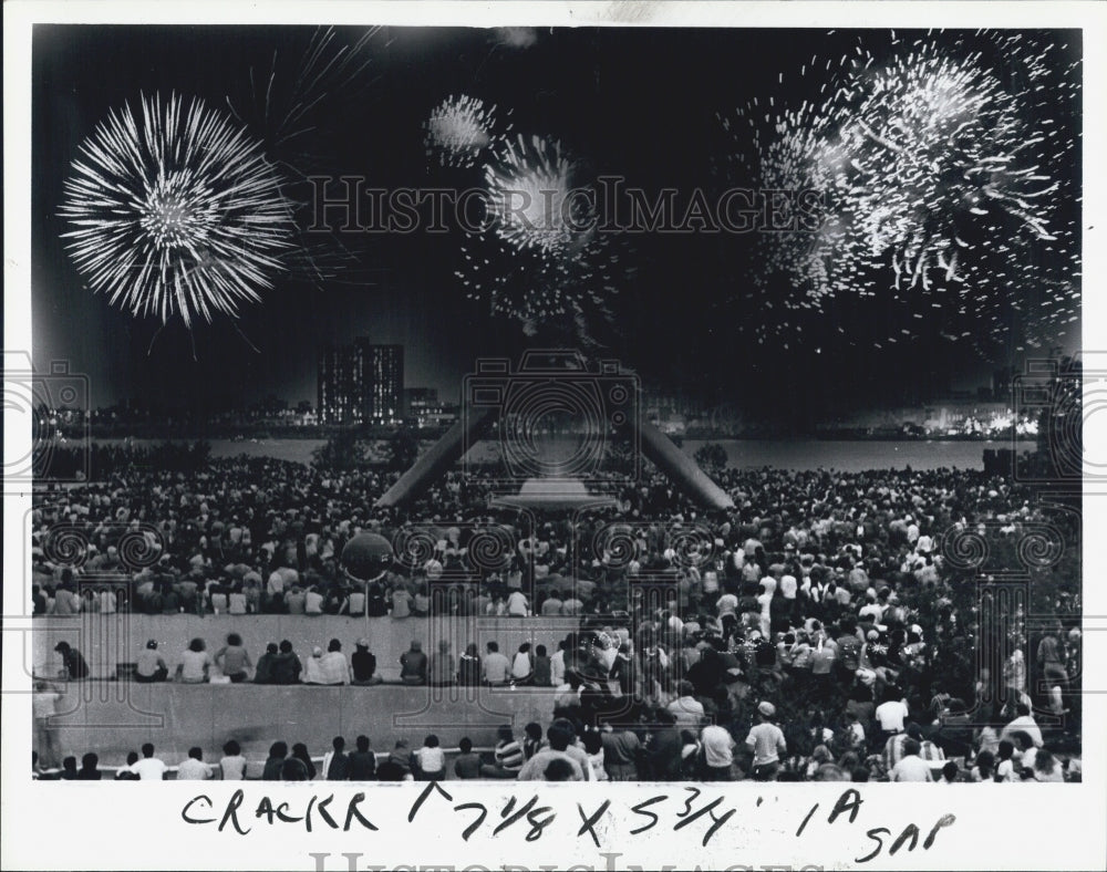 1981 Press Photo Many people watching the firework show. - Historic Images