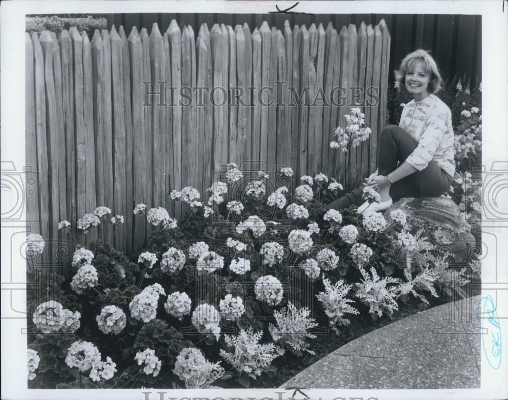 1973 Geranium Flowers - Historic Images