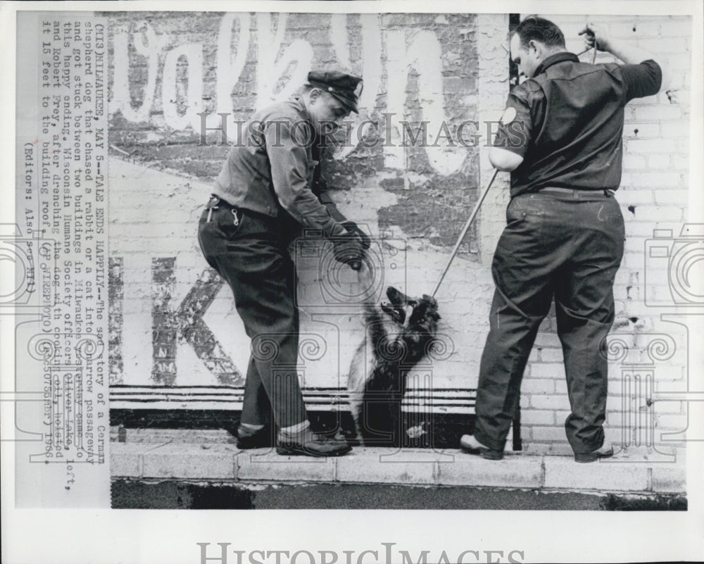 1966 Wisc Humane Soc officers Oliver Lake,left,Robert Frey save dog - Historic Images