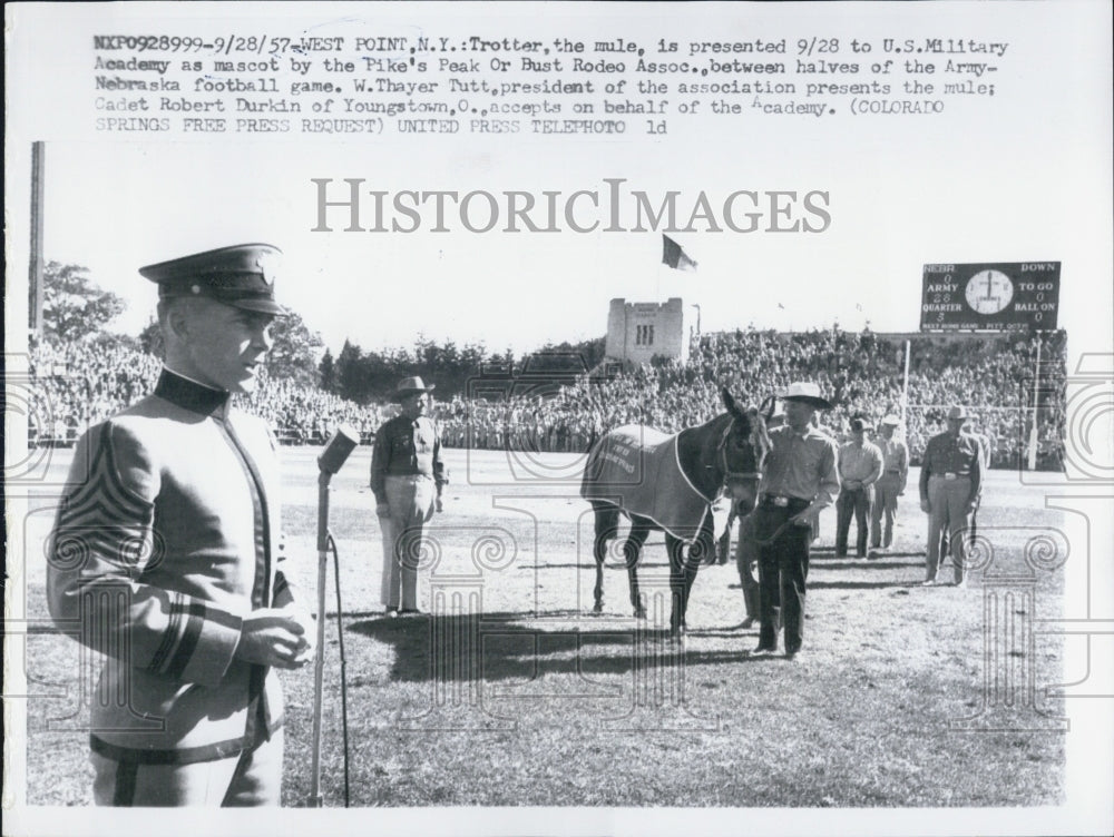 1957 Trotter the mule U S Military Academy mascot - Historic Images