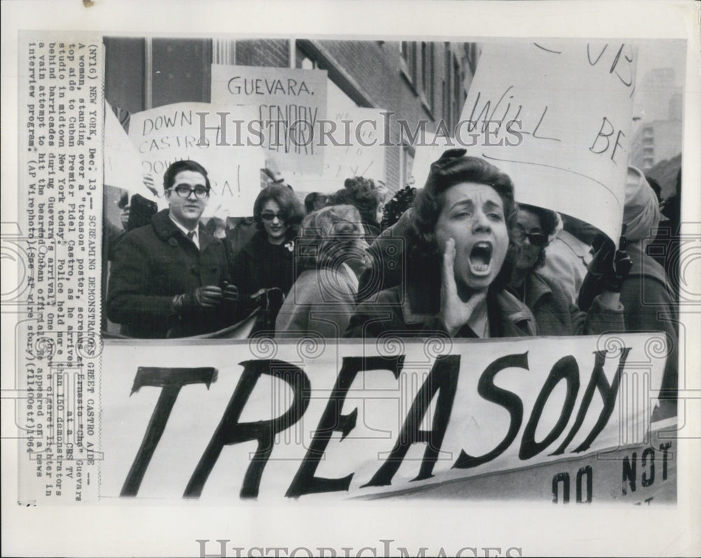 1964 Screaming demonstrators greet Castro Aide in New York - Historic Images