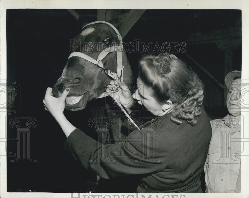 1943 Mrs Marie Blackstone Checking Horses Teeth For Purchase - Historic Images