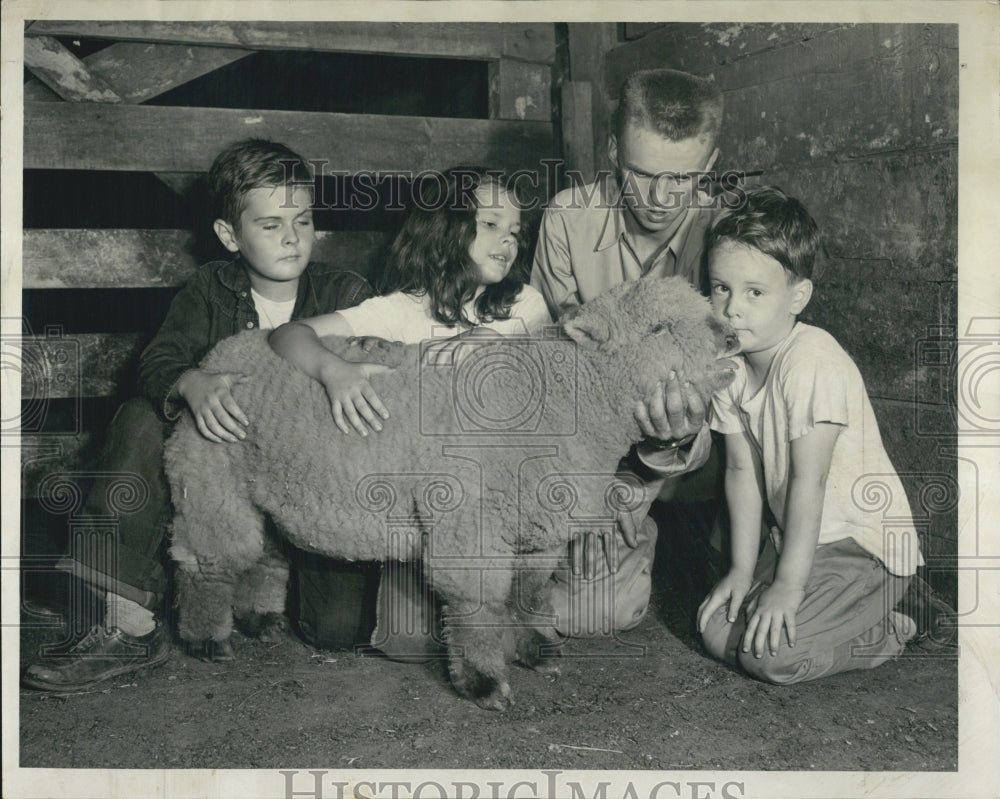 1952 Sheep contest winners Henry, Sara John Sheehan - Historic Images