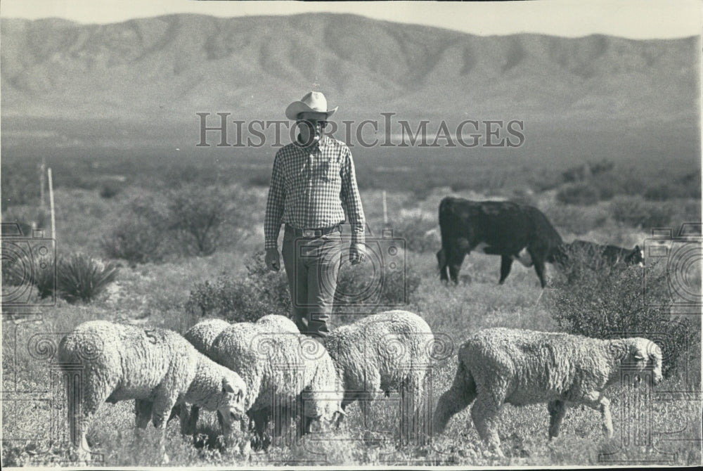 1987 Press Photo Dean Anderson, Animal Research Scientist - Historic Images