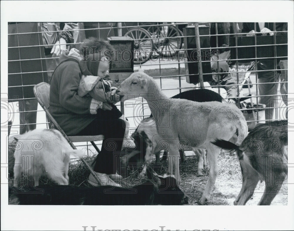 1994 Press Photo Petting Zoo At 8th Ann Celebration On State Street Fest - Historic Images