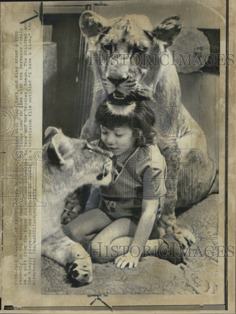 1974 Yeva Berberov Relaxxes Simba King U.S.S.R. Kazan Zoo - Historic Images