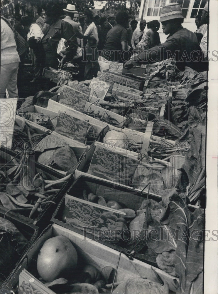 1975 Basket of Vegetables grown in Neighborhood garden. East Oakwood - Historic Images