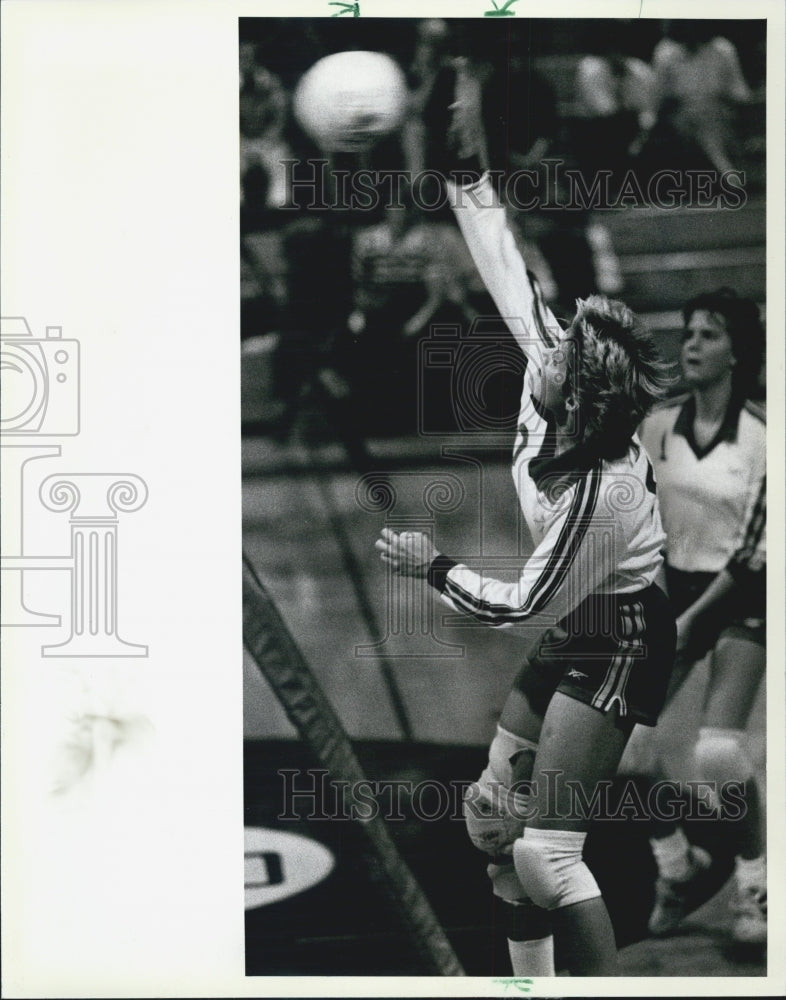 1983 Press Photo Action Shot Of LaGrange Volleyballer Lisa Johnson #20 - Historic Images