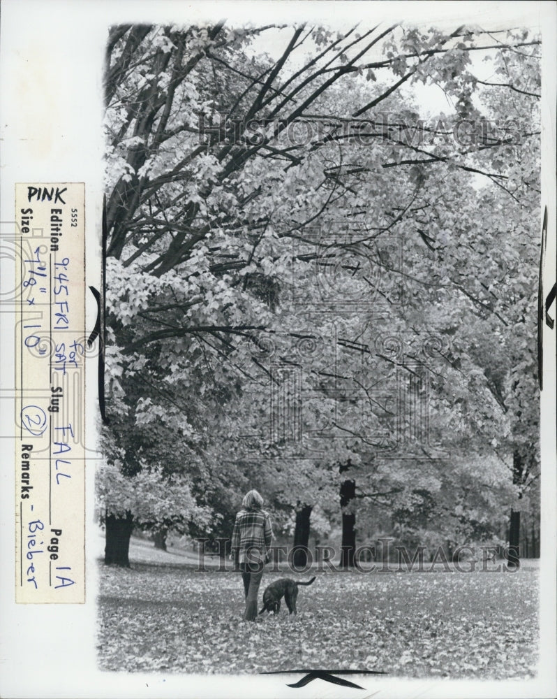 1976 Press Photo Autumn - Historic Images