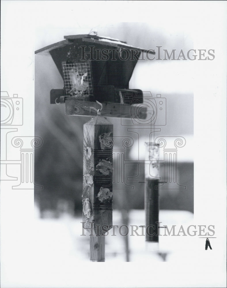 1993 Press Photo Bird Feeder and House. - Historic Images