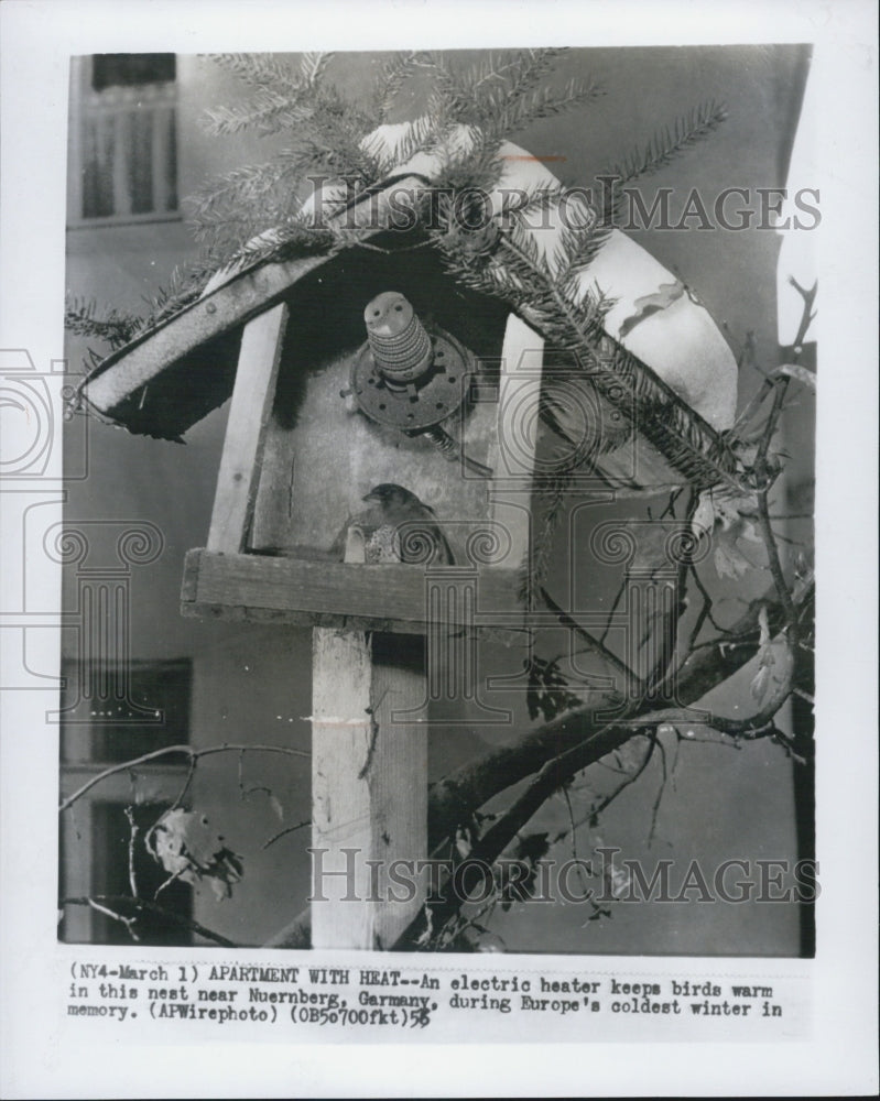 1956 Press Photo Bird Nest with electric heater - Historic Images