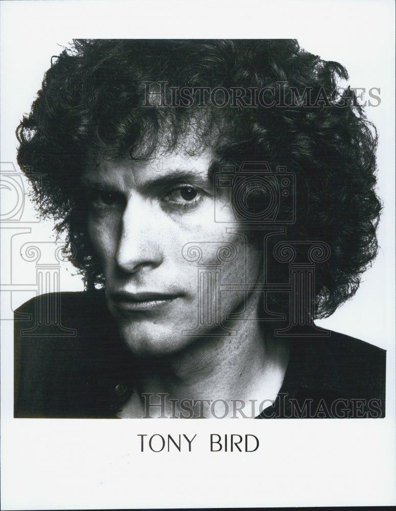 1993 Press Photo Tony Bird folk rock singer-songwriter. - Historic Images