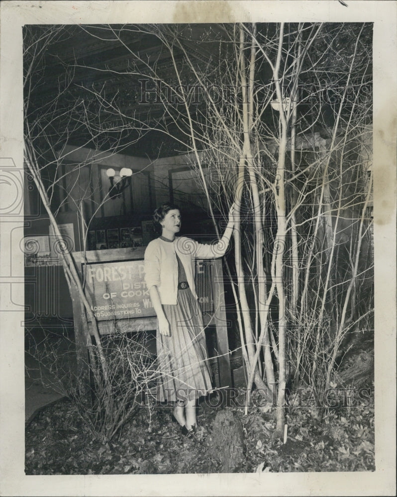 1950 Patricia Gest Enjoys Spring Scene Where Preserve Meets Library - Historic Images