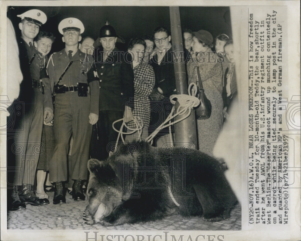 1957 Press Photo Freedom trail end for Teddy bear - RSG55993 - Historic Images