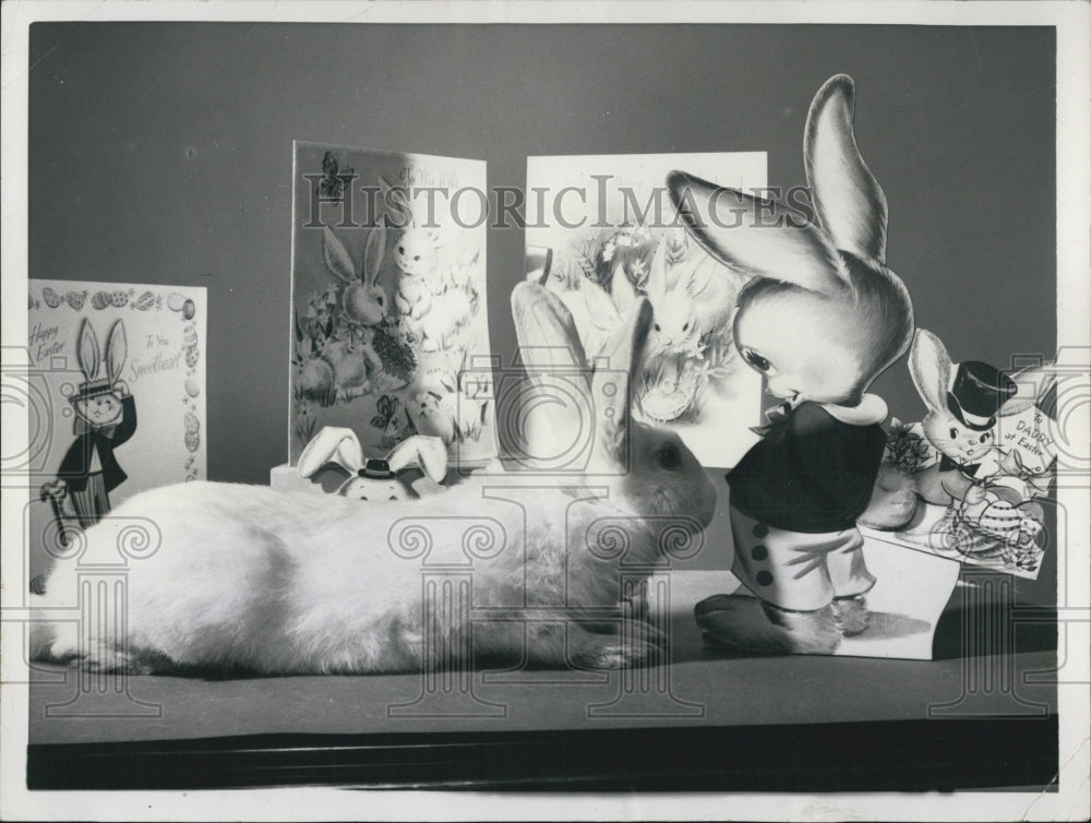 1956 Cuddles the rabbit retires as Hallmark model - Historic Images