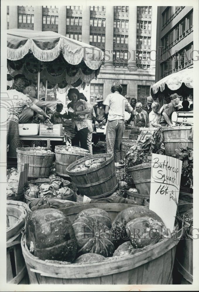 Press Photo Farners market DAlley Center plaza Illinois - Historic Images