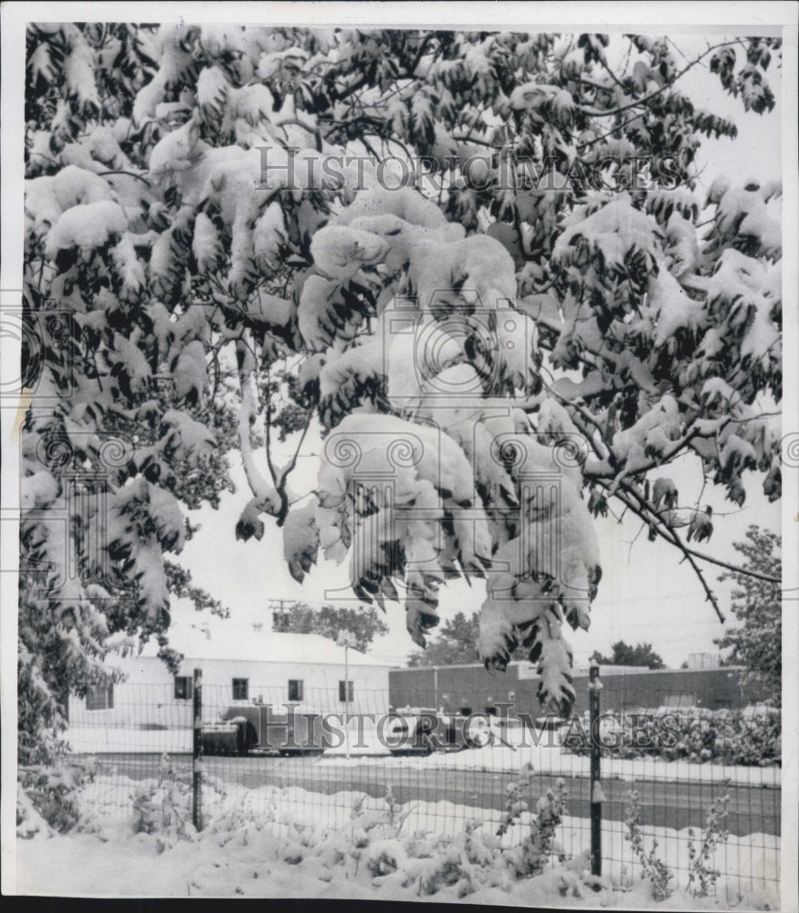 1965 Casper WY White Snow On Trees And Covering Ground - Historic Images