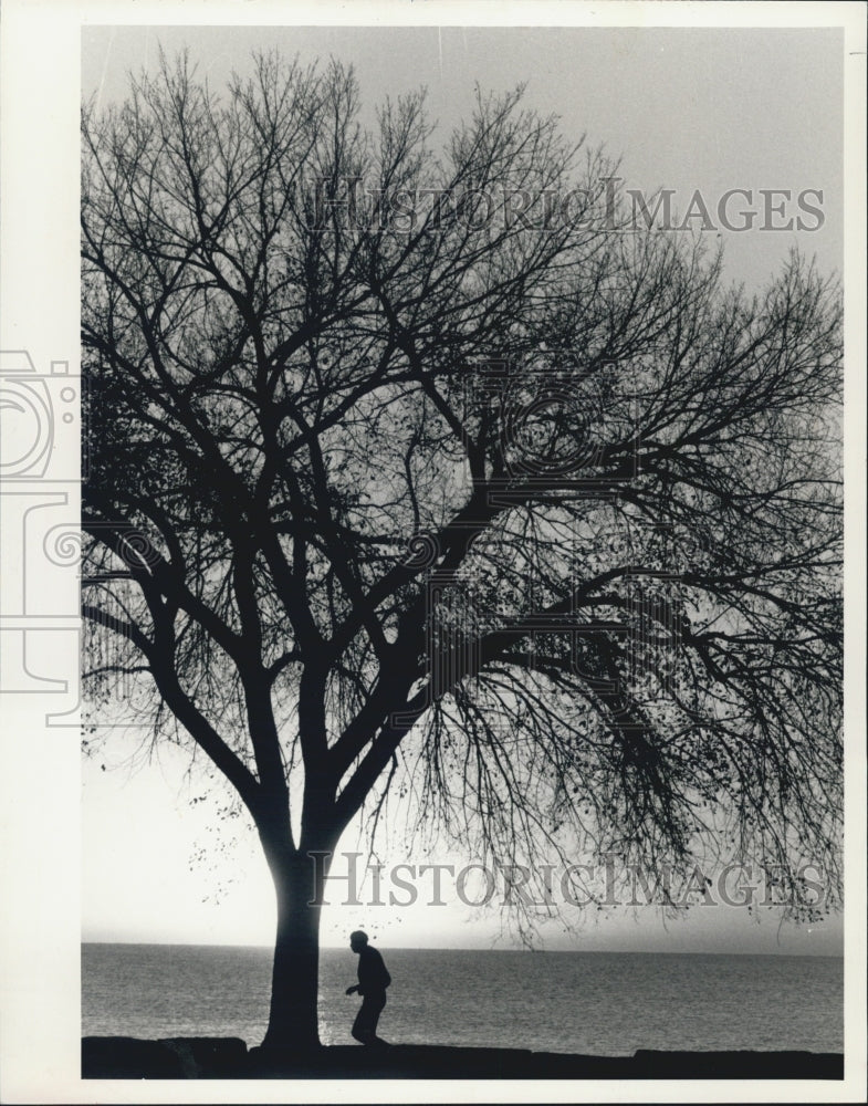 1985 Press Photo Jogger Lake Michigan autumn in Chicago - Historic Images