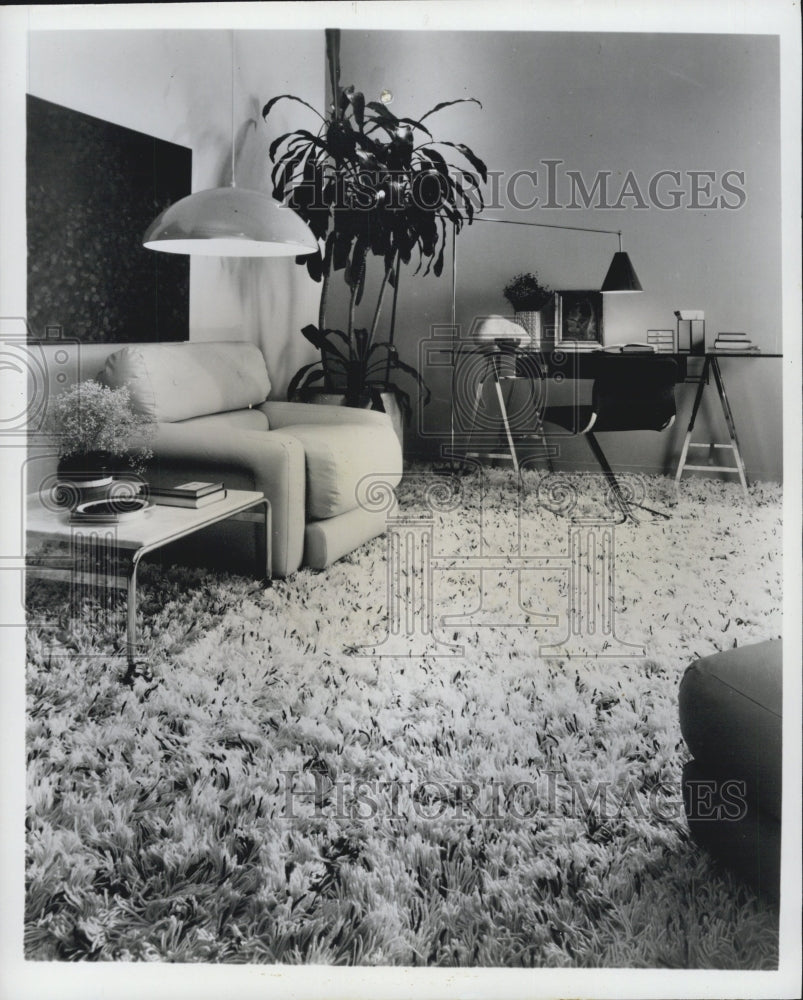 Press Photo Karastan's Jubilation line of shag carpet. - Historic Images