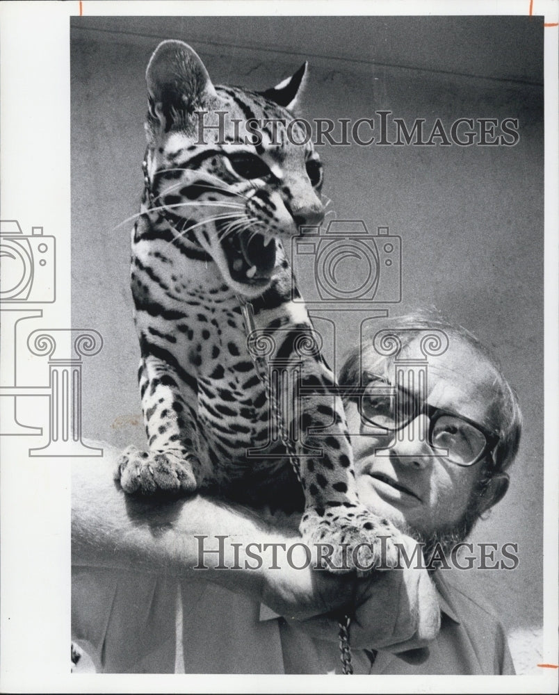 1973 Press Photo Man Holding Ocelots - RSG56881 - Historic Images