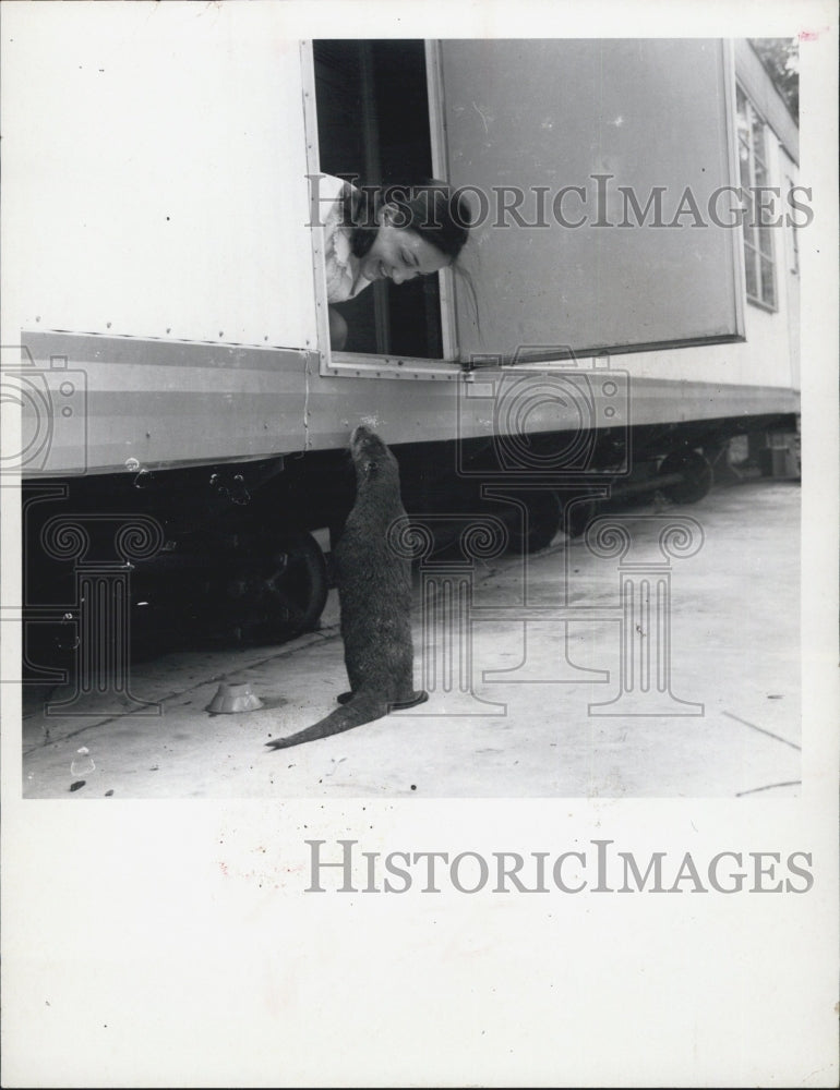 1970 Press Photo Otto the Otter makes friends - Historic Images