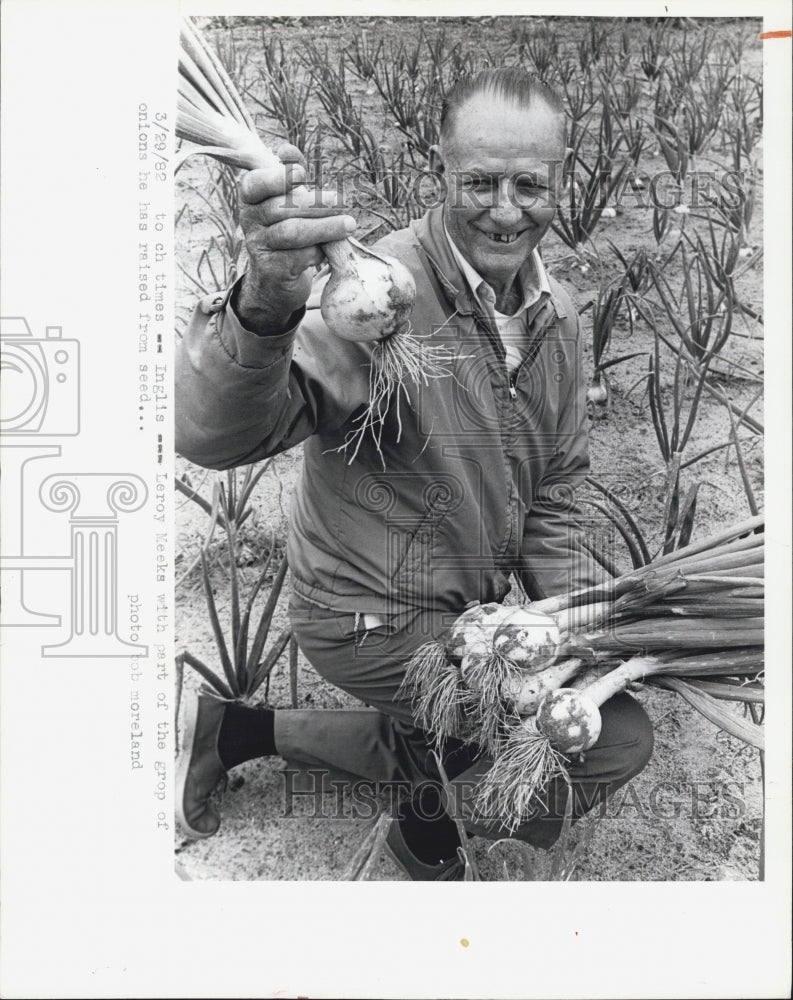 1982 Press Photo Leroy Meeks Onion Harvest - Historic Images