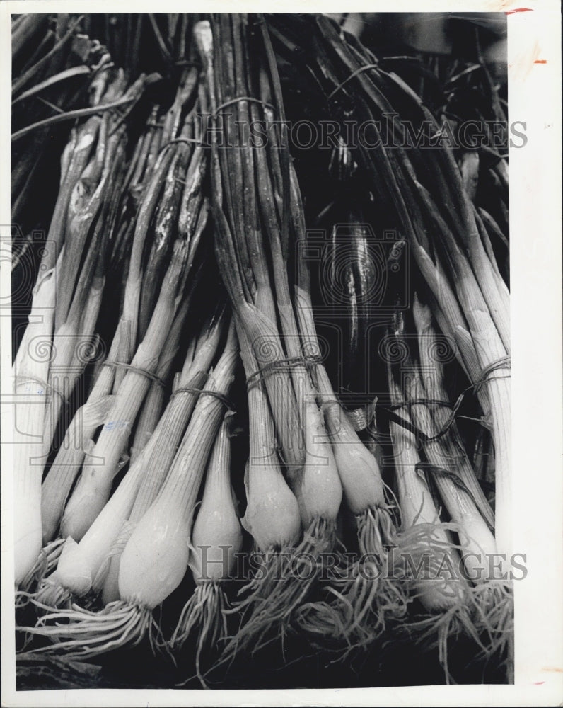 1980 Press Photo Onion Harvest - Historic Images