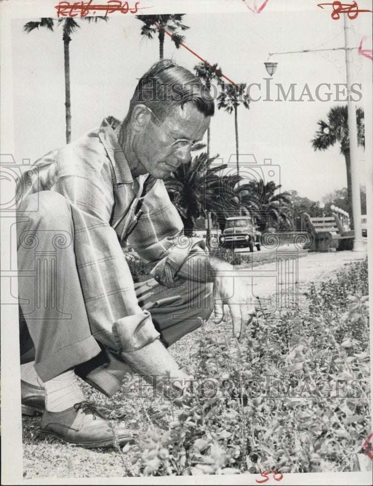 1959 Press Photo Virgil Dobson, Clearwater Park Superintendant - RSG57275 - Historic Images