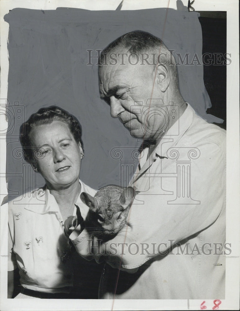 1956 Fire Chief and wife raise chinchillas - Historic Images