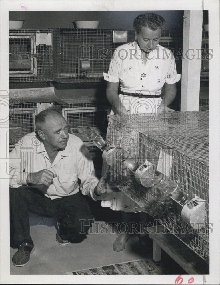 1957 Fire Chief and MrsLloyd Knoff inspecting valuable chinchillas - Historic Images