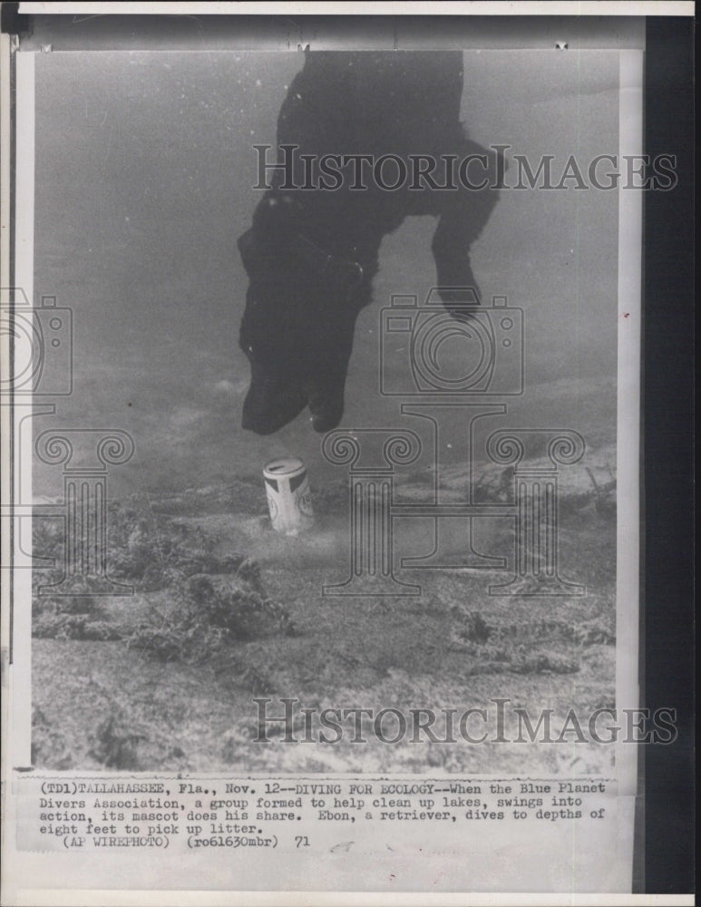 1971 Blue Planet Divers Ebon Diving Dog - Historic Images