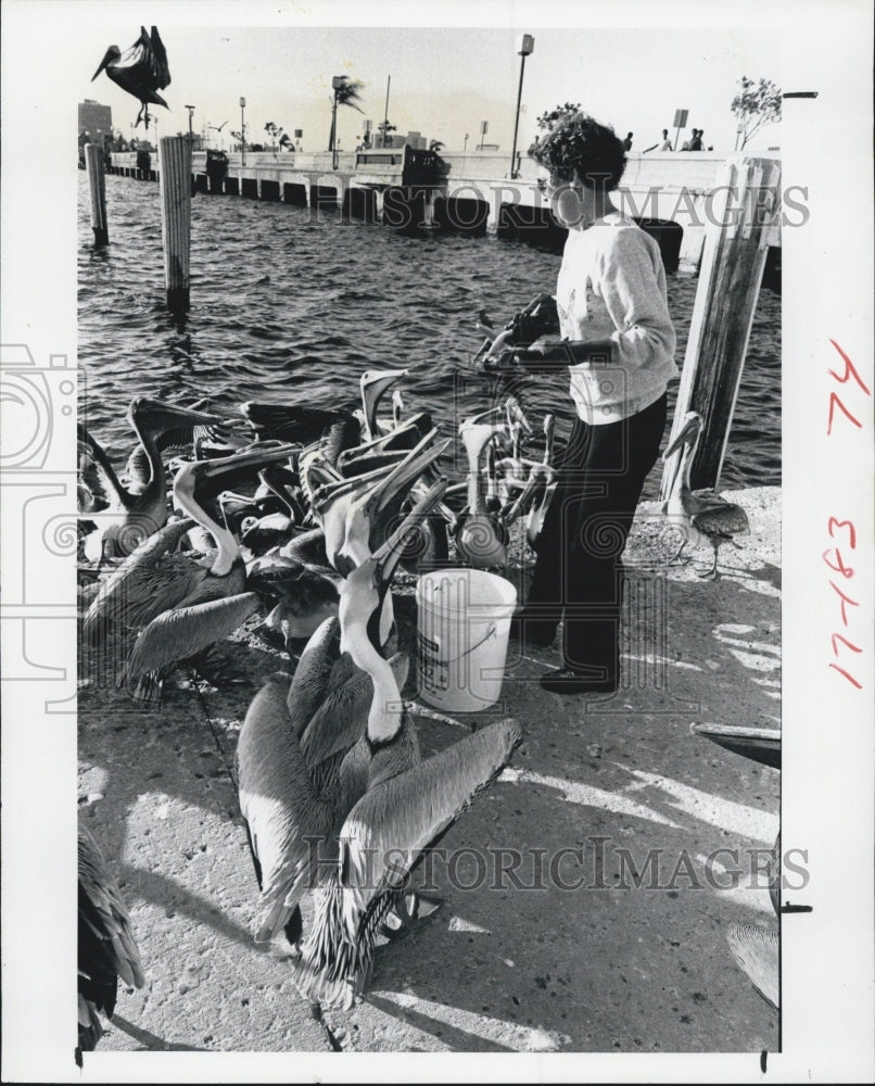 1982 Press Photo Sue Richardson founder of the &quot;Feed the Pelicans&quot; fund. - Historic Images