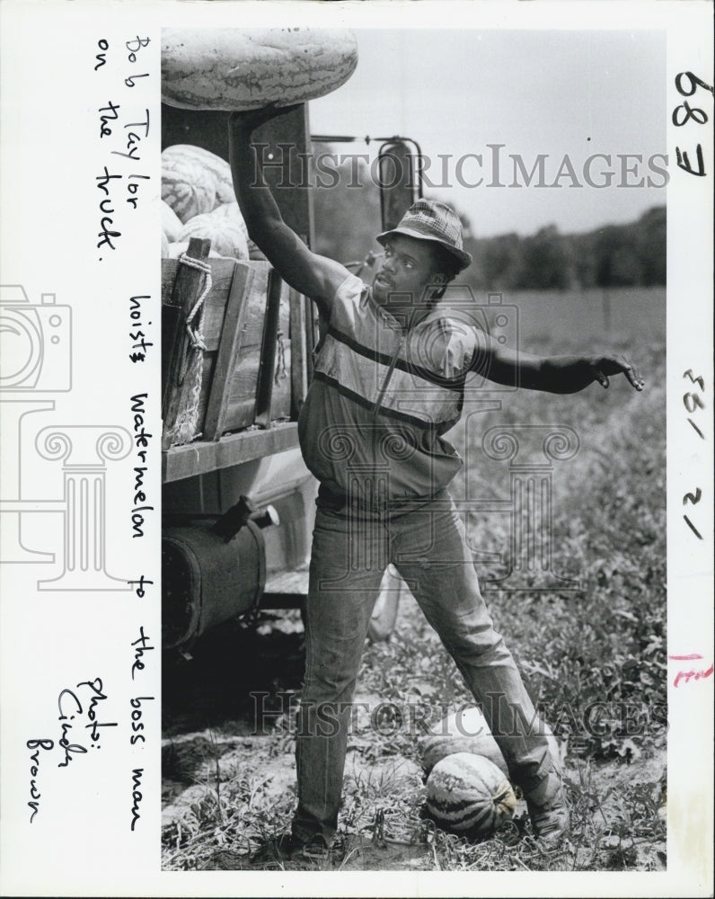 1985 Press Photo "Melon Ball" - Historic Images