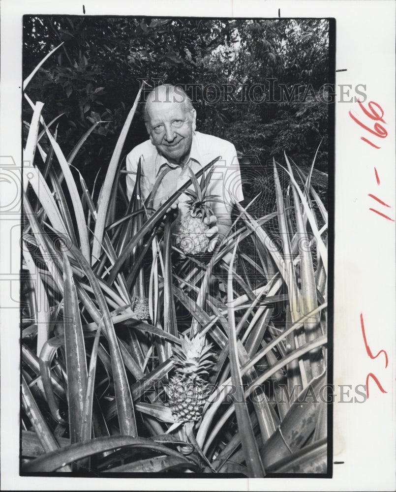 1984 Press Photo Donald &amp; Marcia Patzsch Showing off Pineapple patch - Historic Images