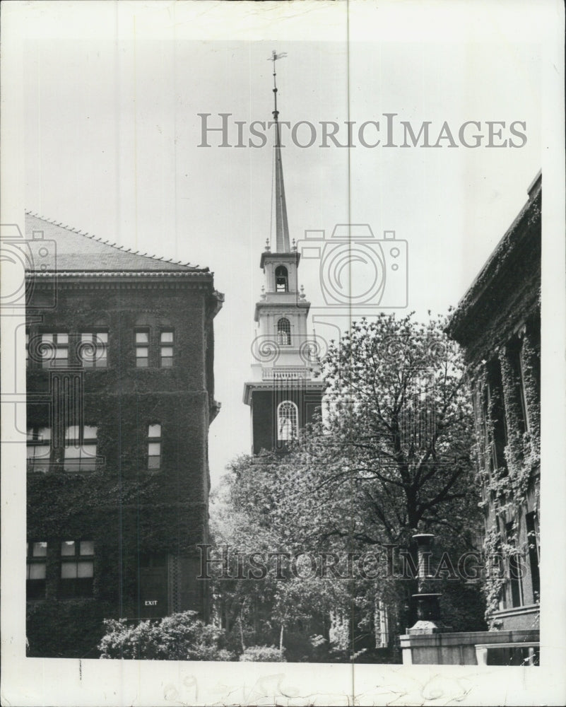 1978 Harvard University Campus Trees Blossomed - Historic Images