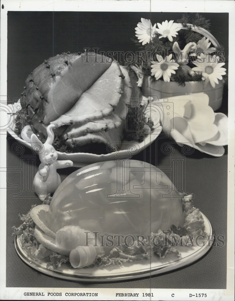 1981 Press Photo Salad mold - Historic Images