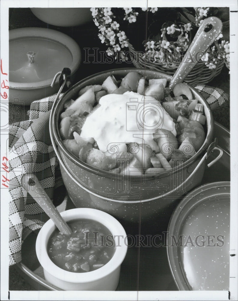 1985 Press Photo Picante Potato Salad Dish - Historic Images