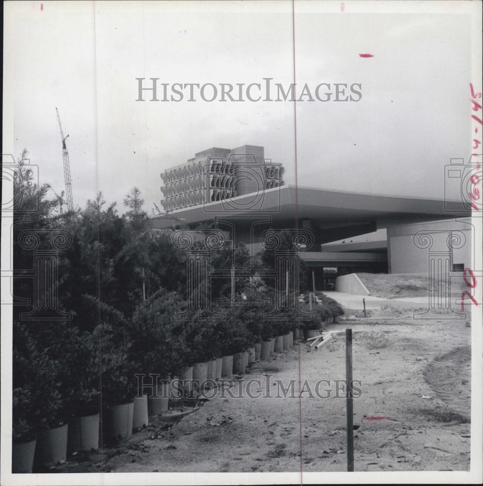 1971 Landscaping at the Florida Power Corp&#39;s $10 Million headquarter - Historic Images