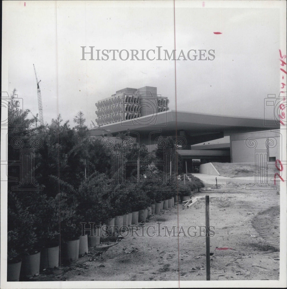 1971 Landscaping at the Florida Power Corp's $10 Million headquarter - Historic Images