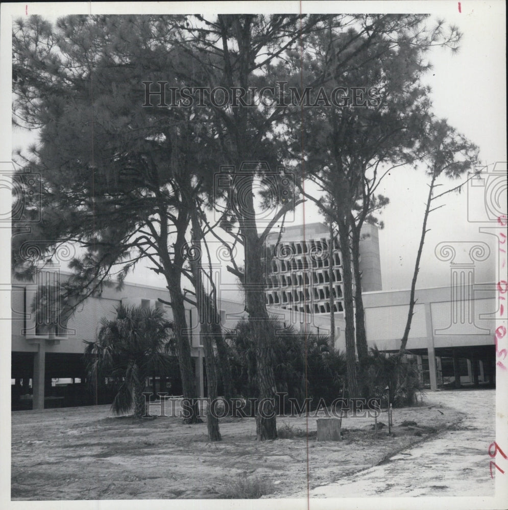 Press Photo Florida Power Corp New 10 Mill Bldg Under Construction - Historic Images