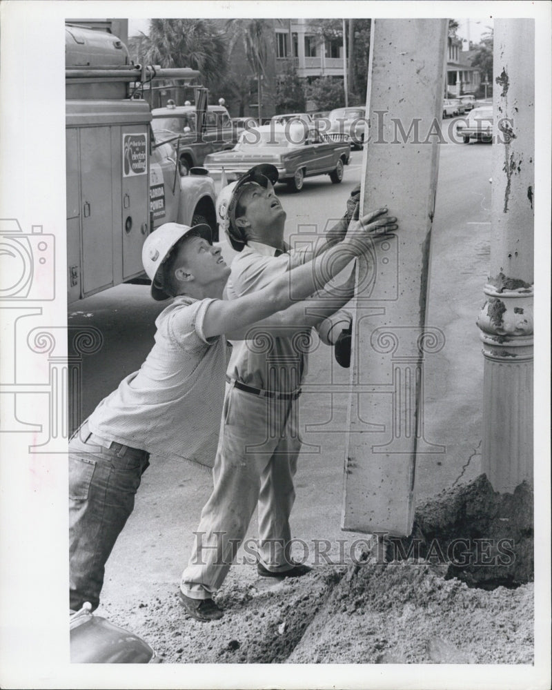 1967 of workers installing utility pole in St. Petersburg, FL - Historic Images